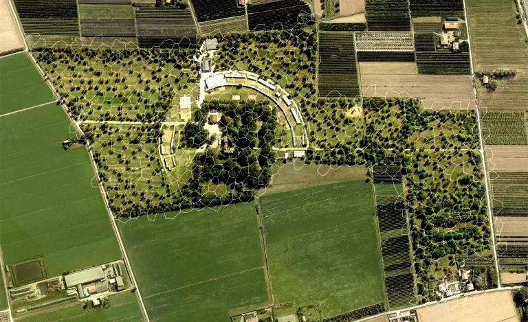 foto aerea di bosco albergati